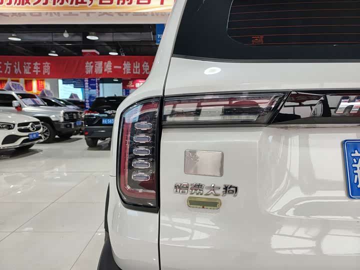 Фото 17 - Haval Dargo