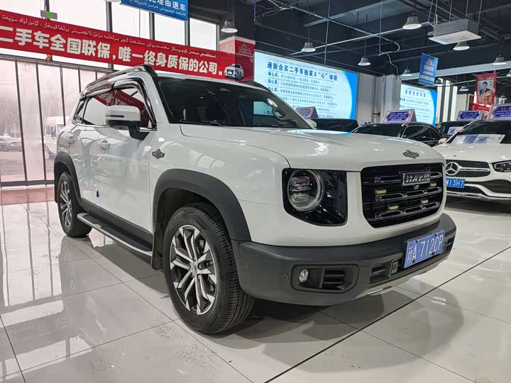 Фото 3 - Haval Dargo