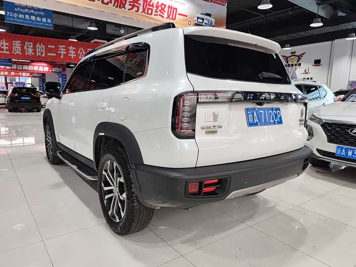 Фото 7 - Haval Dargo