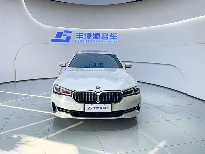 Фото 2 - BMW 5 Series Hybrid