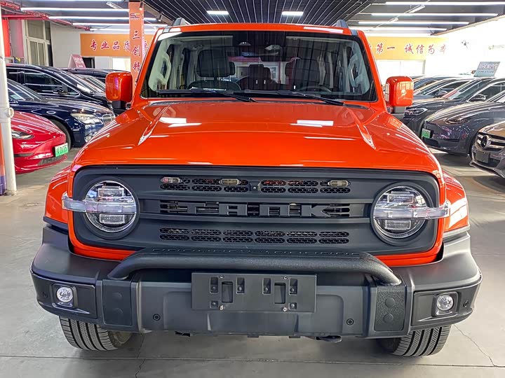 Фото 2 - Tank 300