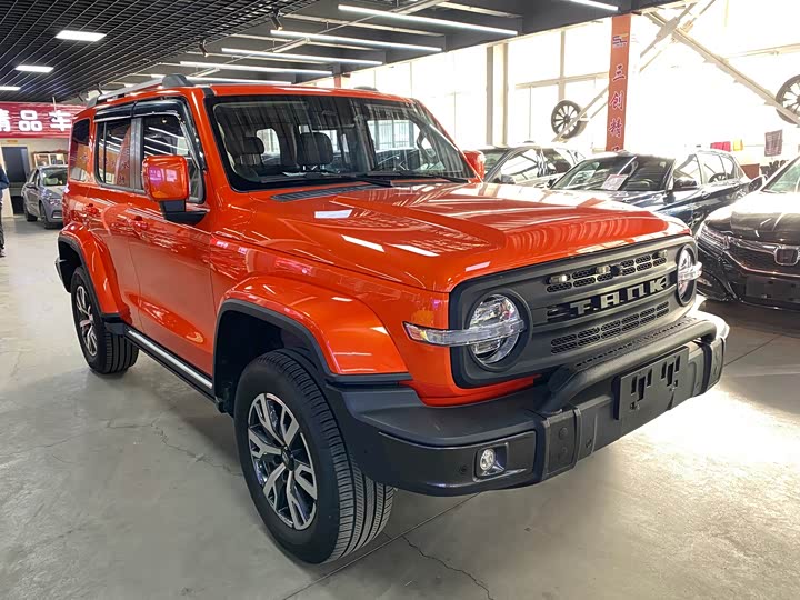 Фото 3 - Tank 300