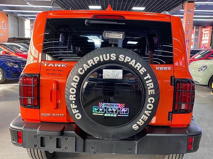 Фото 6 - Tank 300