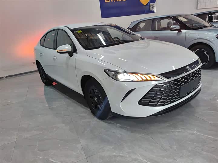 Фото 4 - BYD Qin Plus