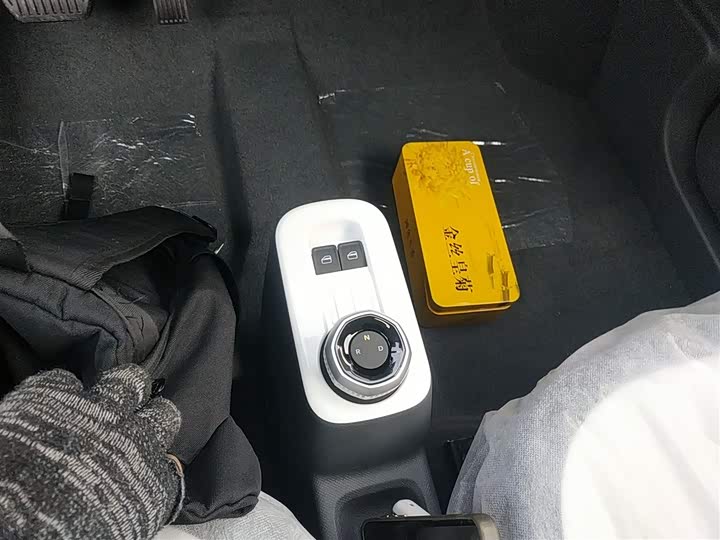 Фото 14 - Geely Galaxy Panda Mini