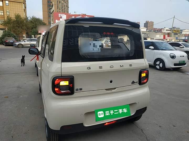 Фото 6 - Geely Galaxy Panda Mini