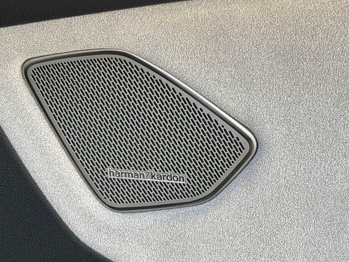 Фото 23 - Volkswagen Talagon