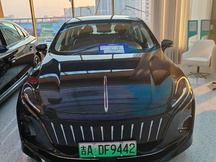 Фото 7 - Hongqi E-QM5