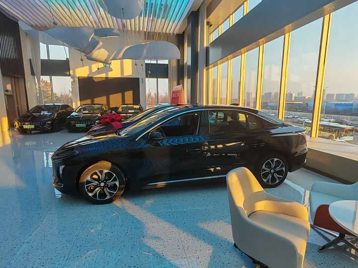 Фото 8 - Hongqi E-QM5