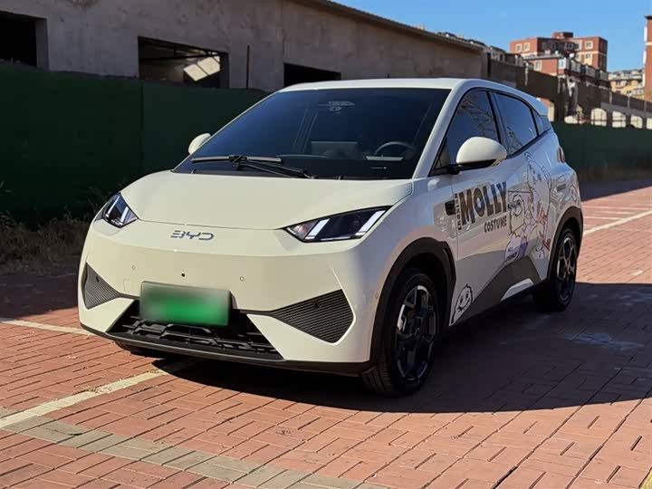 Фото 1 - BYD Seagull