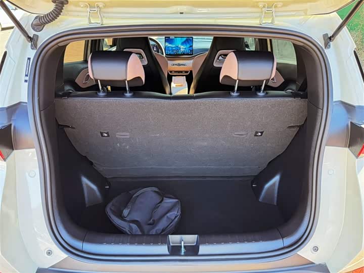 Фото 14 - BYD Seagull