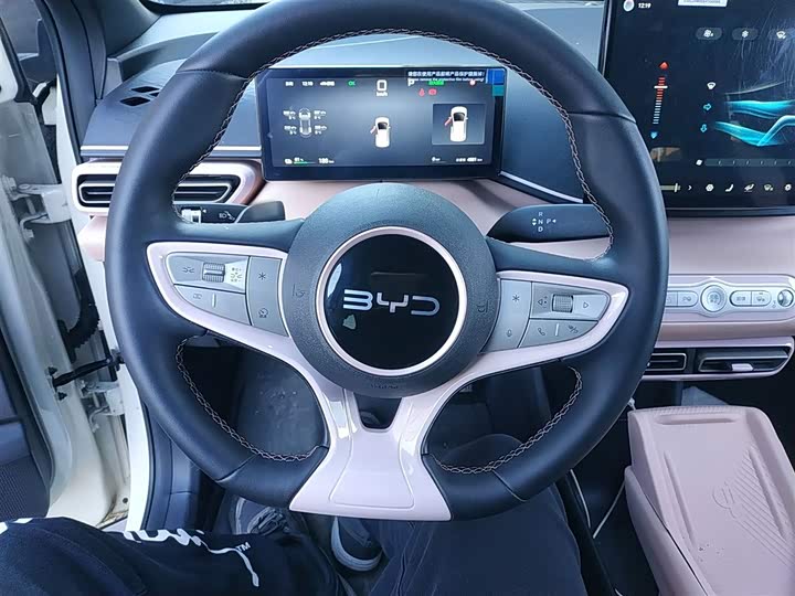 Фото 3 - BYD Seagull