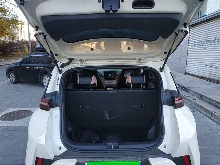 Фото 9 - BYD Seagull