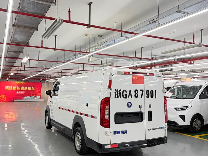 Фото 5 - Foton Smart Smurf E7