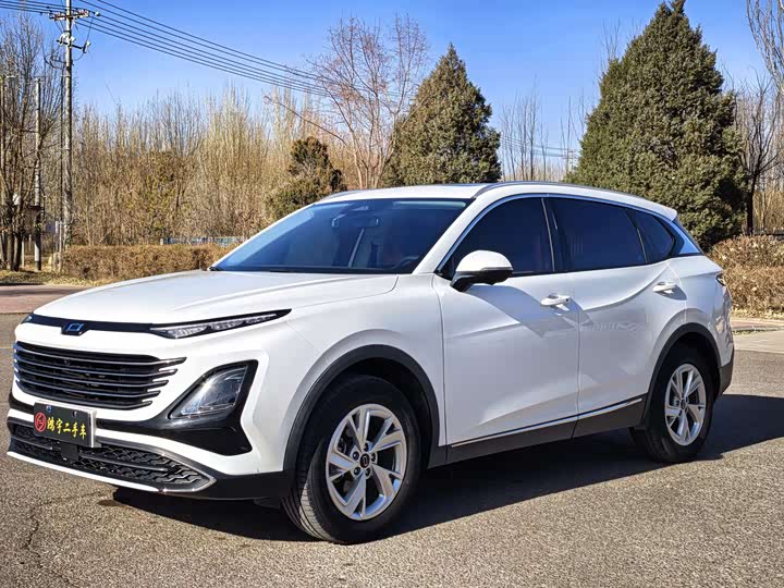 Фото 1 - Bestune T90