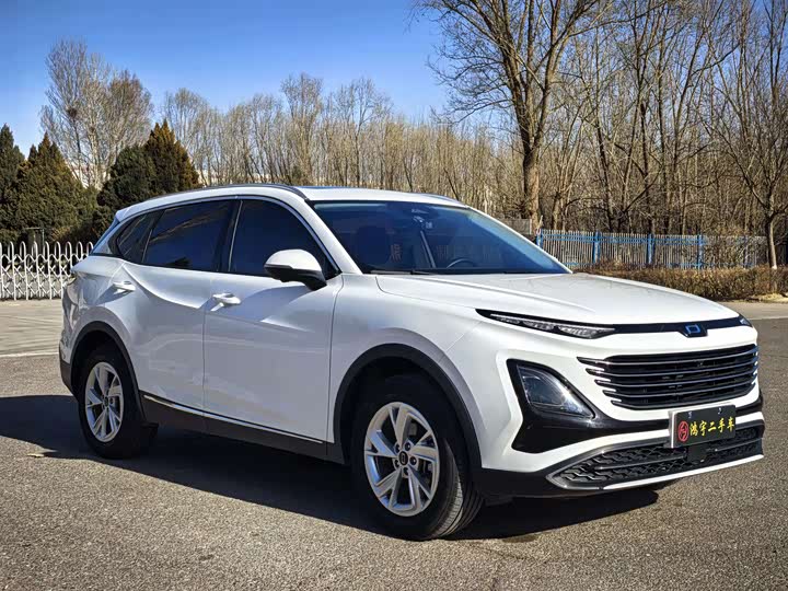 Фото 3 - Bestune T90