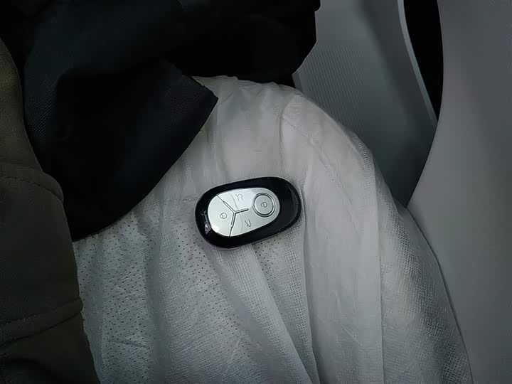 Фото 9 - Geely Galaxy Geome