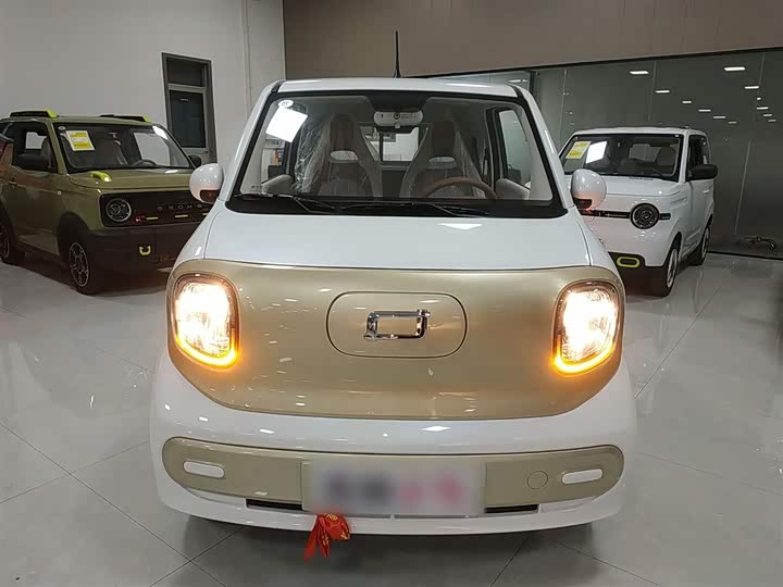 Фото 3 - Bestune Pony