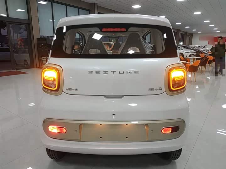 Фото 6 - Bestune Pony