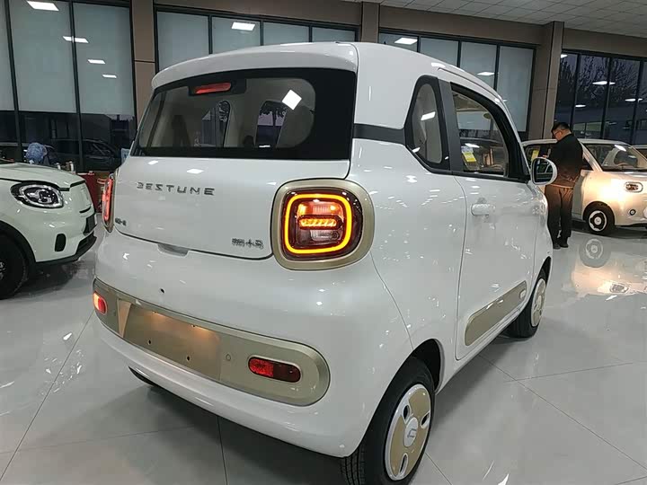 Фото 7 - Bestune Pony