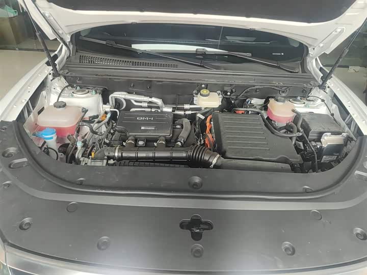 Фото 10 - BYD Sea Lion 05 DM-i Hybrid