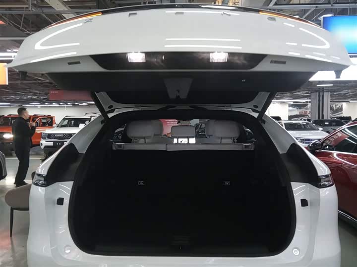 Фото 19 - XPeng G6