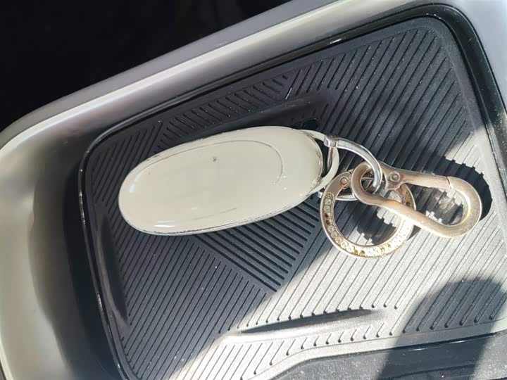 Фото 9 - Dongfeng Nammi 01