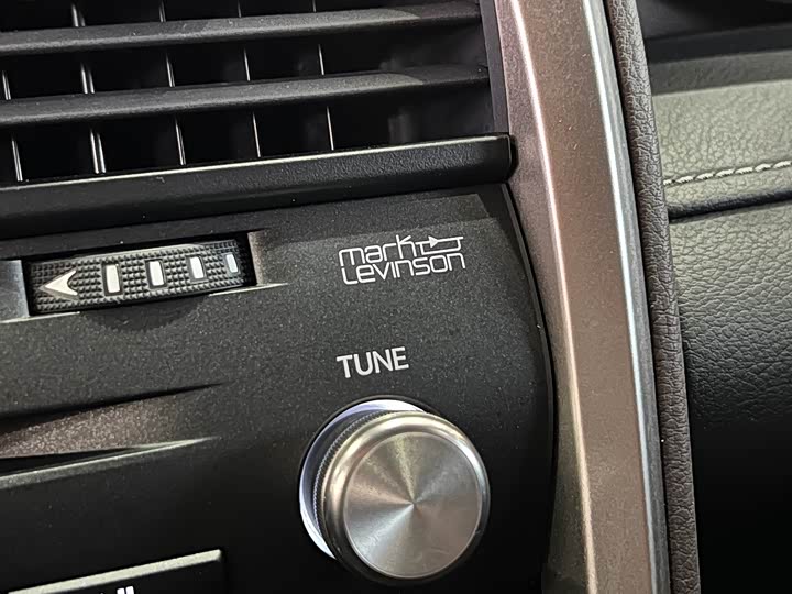 Фото 15 - Lexus RX