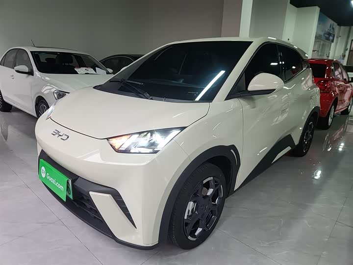 Фото 2 - BYD Seagull