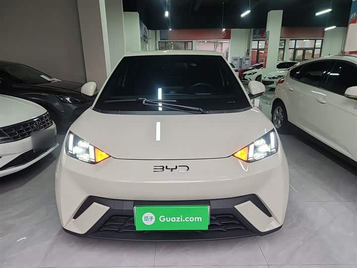 Фото 3 - BYD Seagull