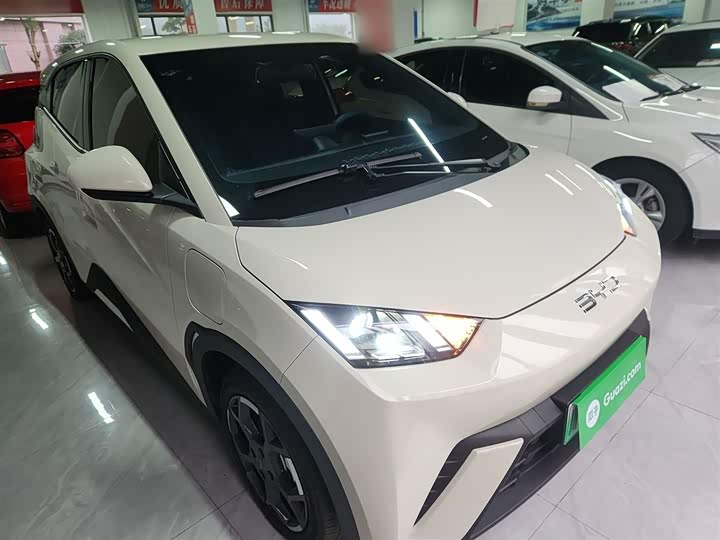 Фото 4 - BYD Seagull