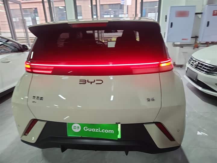 Фото 6 - BYD Seagull