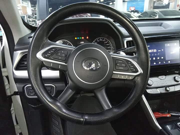 Фото 11 - Great Wall Pao