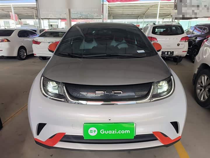 Фото 3 - BYD Dolphin