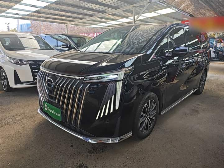 Фото 1 - GAC Trumpchi M8