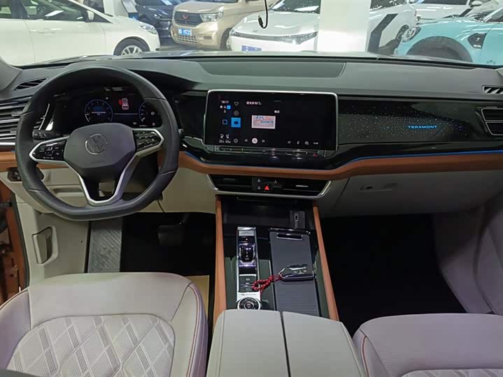 Фото 12 - Volkswagen Teramont Pro