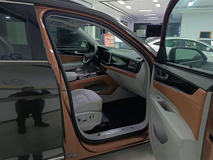 Фото 8 - Volkswagen Teramont Pro