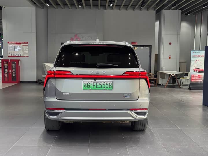 Фото 6 - Wey Lanshan