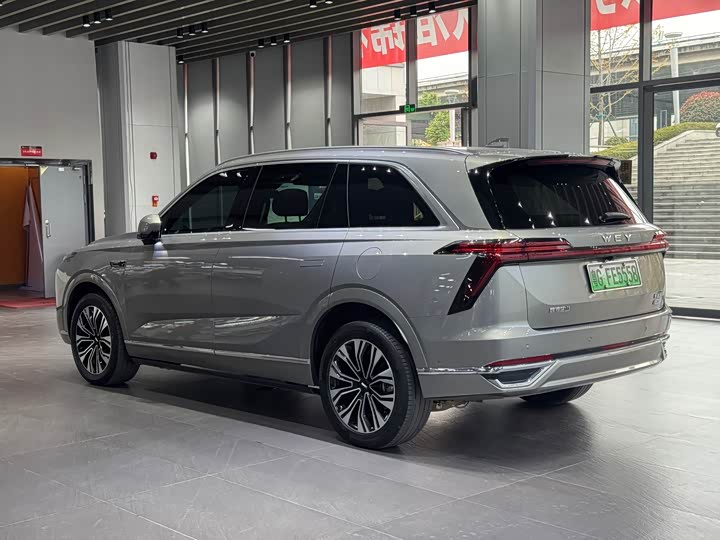 Фото 7 - Wey Lanshan