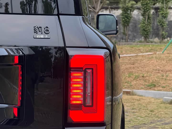 Фото 10 - BYD FangChengBao Leopard 8