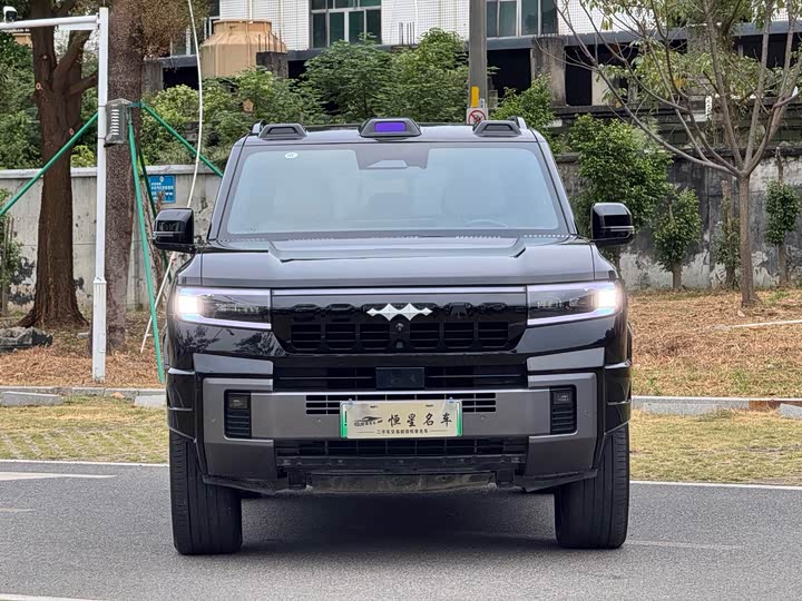 Фото 2 - BYD FangChengBao Leopard 8