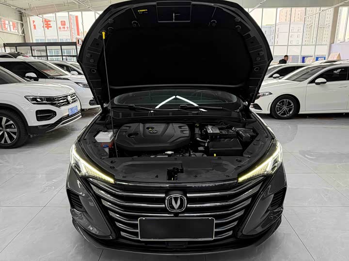 Фото 18 - Changan Eado Plus