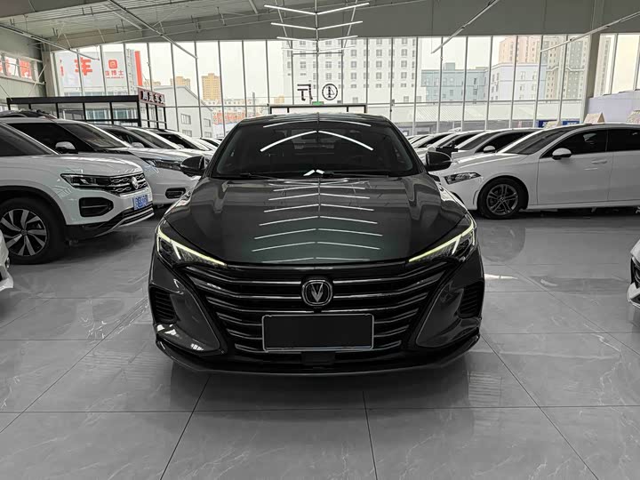 Фото 2 - Changan Eado Plus