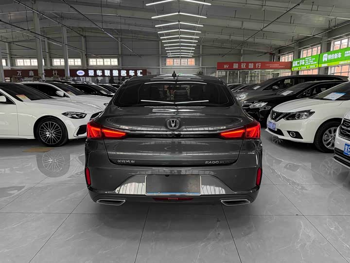 Фото 5 - Changan Eado Plus