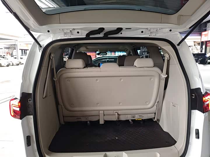 Фото 19 - Buick GL8 ES