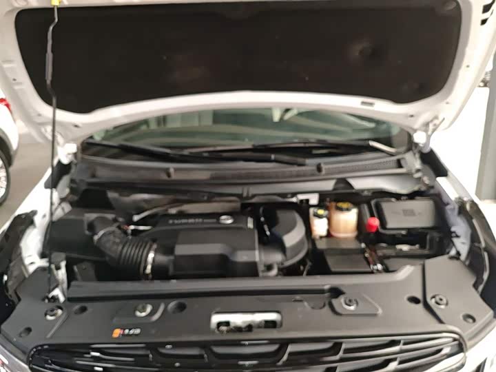 Фото 20 - Buick GL8 ES