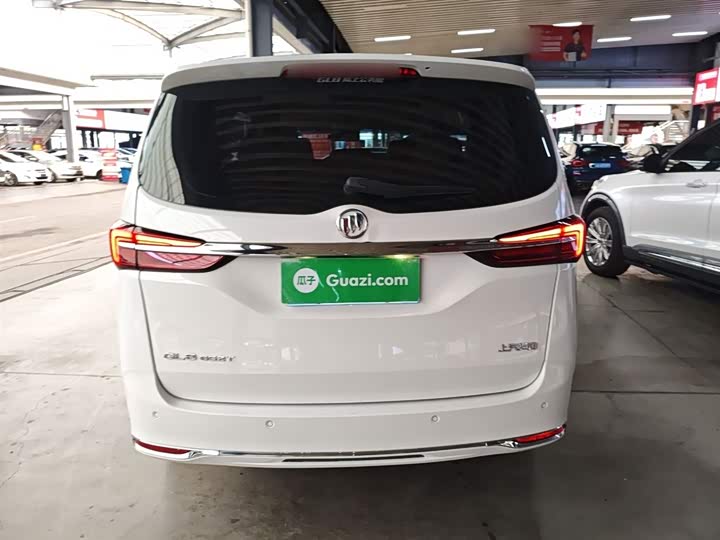 Фото 6 - Buick GL8 ES