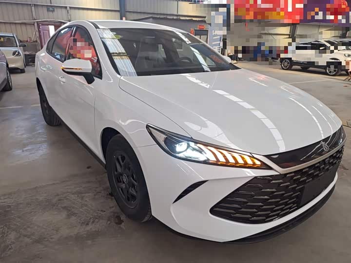 Фото 4 - BYD Qin Plus
