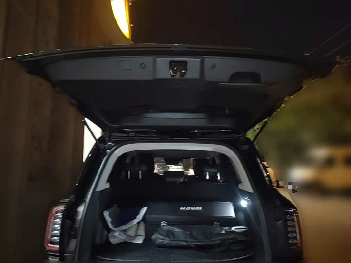 Фото 10 - Haval Dargo