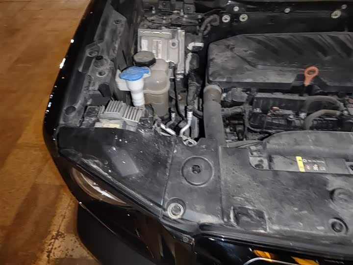 Фото 21 - Haval Dargo